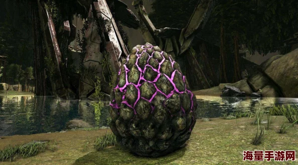 独家揭秘：掌握我的世界高效孵化龙蛋策略与实用技巧大全