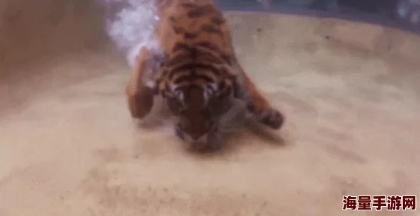 潜水鳄在疯狂动物园的另类技能：虽显多余，却添无限遐想与创意玩法