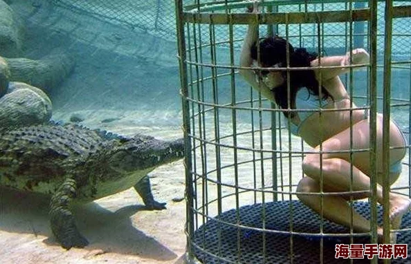 潜水鳄在疯狂动物园的另类技能：虽显多余，却添无限遐想与创意玩法