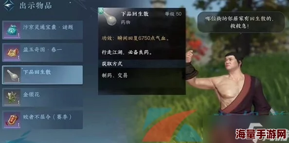 《如鸢江洋小盗》全关卡通关技巧与策略指南，轻松解锁隐藏关卡秘籍