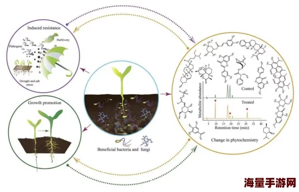 害羞草研究所：科学家揭示植物反应机制，助力生态保护与生物多样性研究新进展