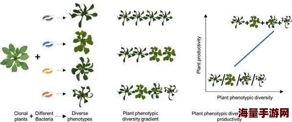 害羞草研究所：科学家揭示植物反应机制，助力生态保护与生物多样性研究新进展