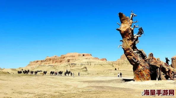 阴阳师手游官方周边盛宴启幕，限定版达摩盒蛋套装惊喜上架，价格揭秘引玩家热议！