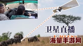 草莓丝瓜深夜释放自己：探讨现代都市生活中的孤独与自我救赎的多重维度与表现形式