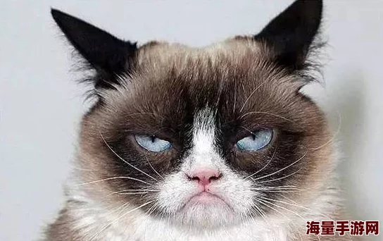 猫咪tv最新地域网名怎么取：为爱猫人士提供创意灵感，帮助他们在社交平台上选择独特而有趣的昵称