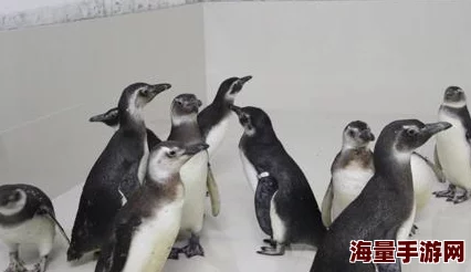 探索疯狂动物园：揭秘隐藏任务独特完成条件与攻略指南
