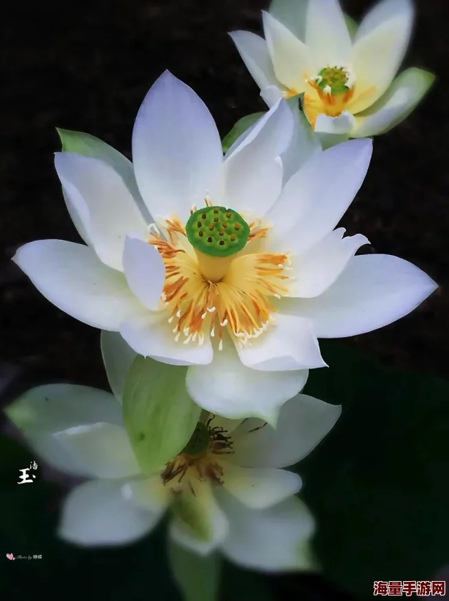 激情婷婷：她在舞台上的表现引发热烈反响，展现出无与伦比的才华和魅力，赢得观众的心