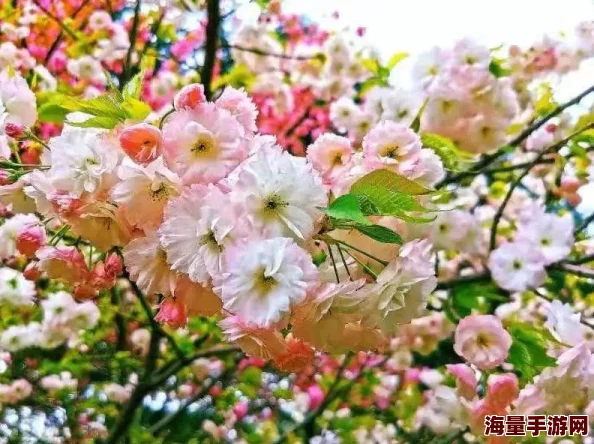 探索新世纪福音战士破晓：新手全方位启航指南与策略精要解析