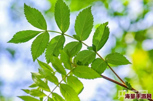 特黄特黄一级片：震惊！全球首个成功克隆濒危物种，科学家们的突破性进展引发热议！