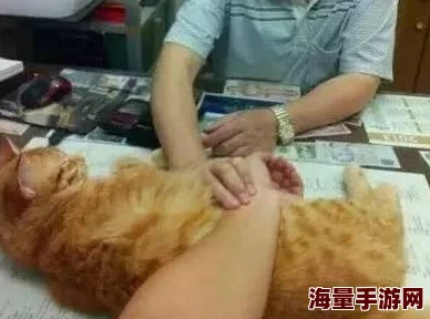 扒开屁股让客人打着玩＂引发社会广泛关注，网友惊呼：这样的服务到底是何居心？背后真相令人不寒而栗！