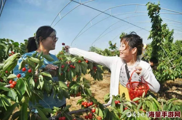 鼓蓬蓬一张一合牦户又肥又厚，乡村振兴带动传统手工艺复兴，助力农民增收致富新篇章