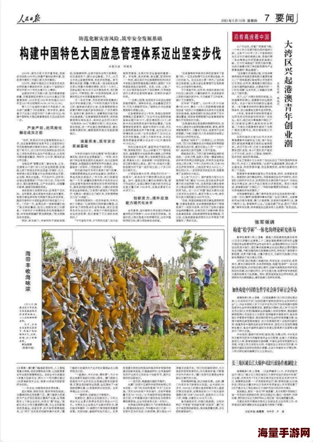 《极品芝麻官》中趣味横生的特色玩法全面介绍与解析