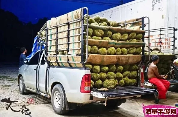 榴莲视频污在线观看：最新动态与用户反馈，畅享精彩内容的全新体验与分享平台