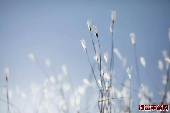 心海被丘丘人抓去繁衍后代