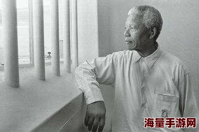 饥荒游戏中曼德拉草的最佳采摘时间与技巧分析