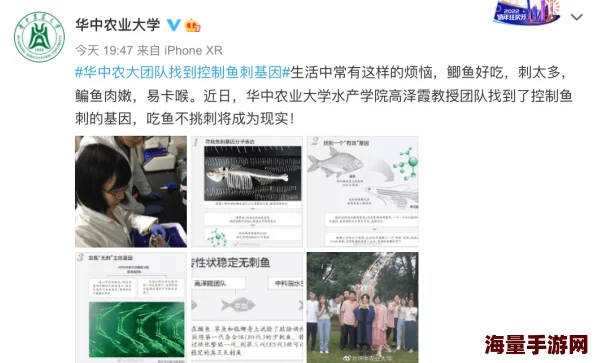 黄色一级片在线播放，网友们对其内容和影响有不同看法，有人认为这是个人选择的自由，也有人担心其对青少年的负面影响