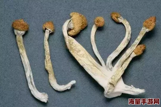 美女裸屁股事件引发广泛关注，相关法律法规讨论持续升温，社会对网络内容监管的呼声日益增强