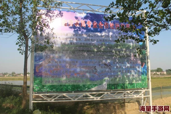 丰年经继拇3的机能量发展：新技术应用与未来前景分析，推动可持续农业的创新实践