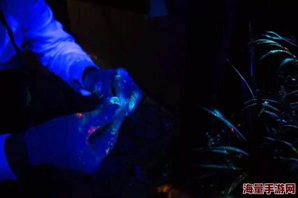 探索午夜的魅力：免费观看精彩视频在线观看，带你进入不一样的夜晚世界！