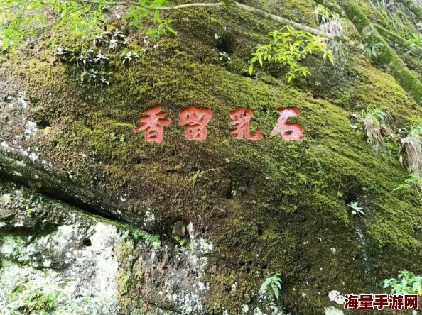 深度剖析《九龙战》游戏中游龙职业的特色与战斗策略分析