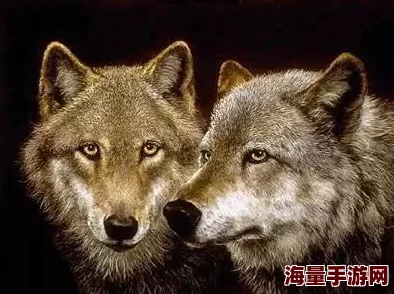 免费草逼视频，内容真是让人惊讶，没想到会有这么多精彩的片段！