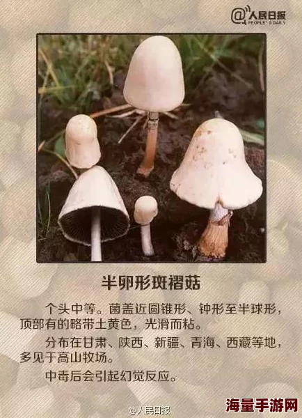 广州一家吃蘑菇后续怎么样了，真希望他们能早日康复，大家一定要注意饮食安全！