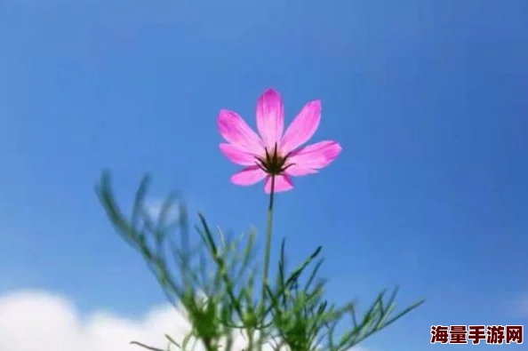 妻子同意三个人一起活动怎么办？这是一种开放的关系，大家都要坦诚沟通