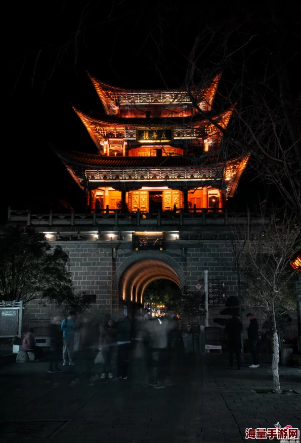 一区二区午夜，夜色如墨，灯光璀璨，仿佛进入了一个梦幻的世界