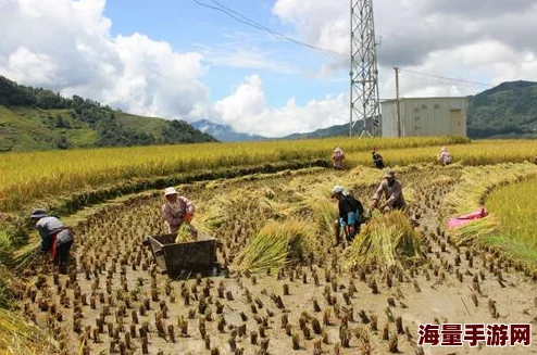 亚洲一区二区黄色，内容丰富多彩，让人眼前一亮，值得一看！