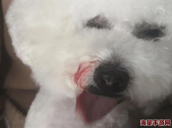 舌头伸进去吃小豆豆高h最近爆红网络引发热议