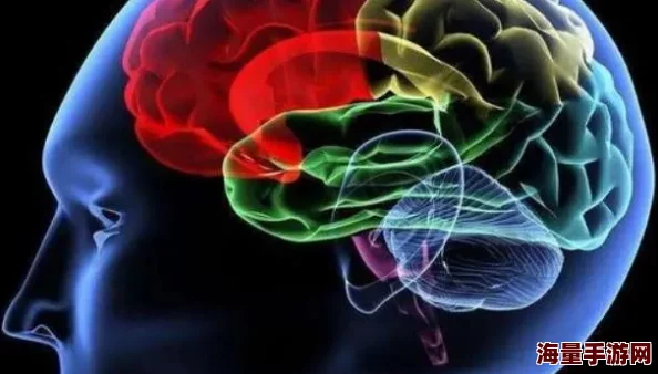 性爱交叉点近日，科学家发现人类大脑在高潮时释放的化学物质有助于增强记忆力和学习能力
