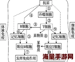 17.c-起草破解指的是在制定政策或计划时，如何有效地解决问题和障碍的策略与方法