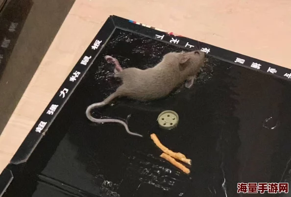 灌到怀孕h鼹鼠