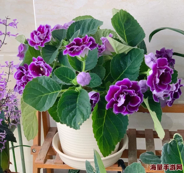时逆手游新手攻略：从零开始，全面掌握游戏玩法与技巧指南