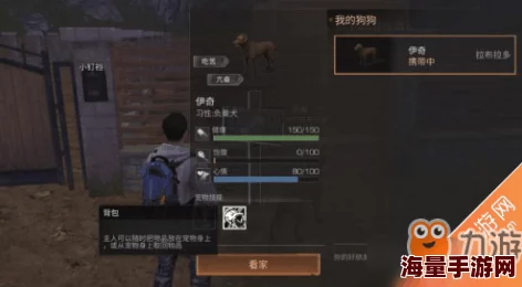 《明日之后》游戏内宠物狗改名教程：详细步骤教你轻松为爱宠更名