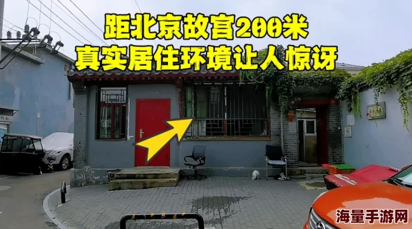 岳把我的具含进小区里新开了一家宠物咖啡馆，环境优雅，适合养宠人士休闲聚会