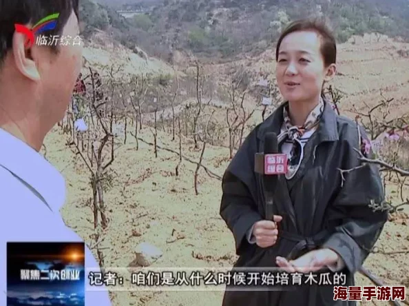 陈婷王建李珊张超交换反客为主四人组新开网店卖手工艺品生意火爆
