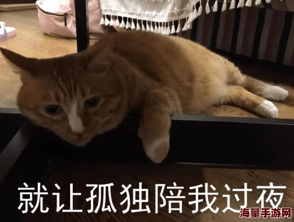 妾室每日打屁股调教小猫咪学会了新的花式跳跃动作