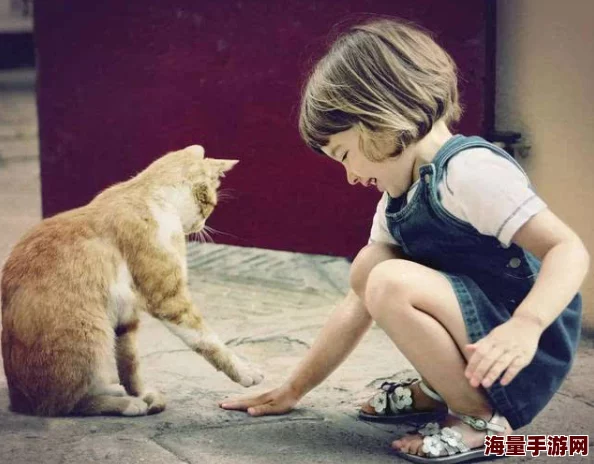 妾室每日打屁股调教小猫咪学会了新的花式跳跃动作