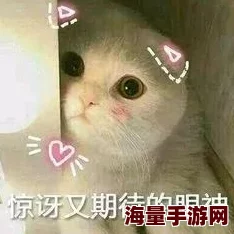 久久这里精小区里来了只流浪猫，居民们自发组织喂养和照顾它，现在它成了社区的“吉祥物”