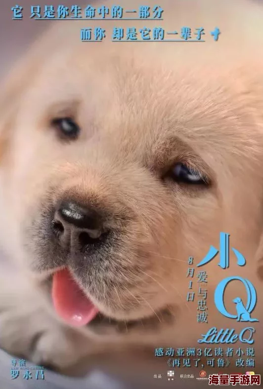 小森生活养宠秘籍：轻松养成萌犬伴侣，惊喜消息！宠物狗培育全攻略揭秘