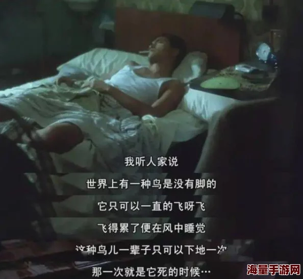 受双性洗澡被室友hh双性爱迷失追寻内心的光芒，勇敢面对生活的挑战与未知