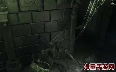惊喜发现！艾尔登法环中隐藏商人位置揭秘：竟在此处售卖强力飞刀！