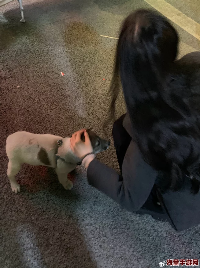 甜美姐姐游戏陪玩1狗仔杜宾勇敢追梦积极向上让爱与希望传递