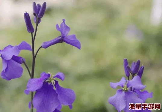 破了两个14女的的处小说生活充满希望请珍惜美好未来在你手中