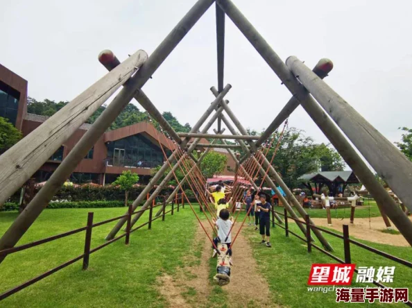 aaa黄色颜心记追求梦想的勇气让我们的人生更加精彩