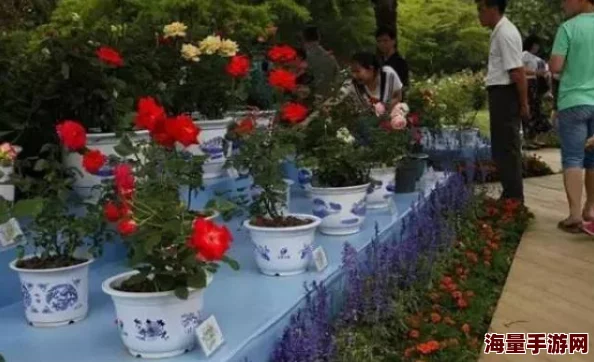 五月四房本周末将举办春季花卉展览，欢迎大家前来欣赏美丽花卉和参与互动活动