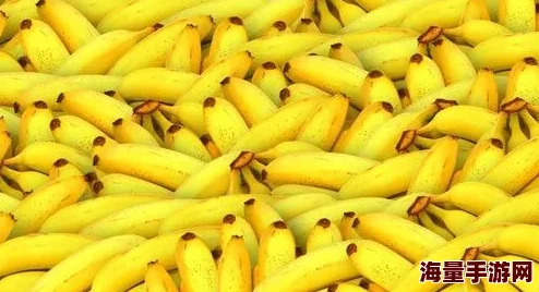 香蕉91为何如此火爆是因为它皮薄肉嫩味道香甜食用方便所以销量领先