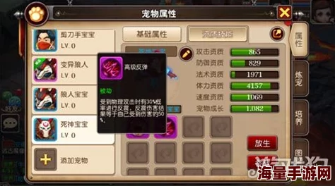 我叫MT3：2024热门神龟流圣骑加点与宠物选择全攻略