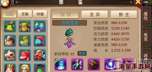 我叫MT3：2024热门神龟流圣骑加点与宠物选择全攻略